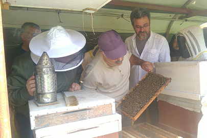 Çiftlikköy’de “Arıcılık Kursu”na yoğun ilgi!