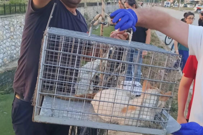 Çiftlikköy İtfaiyesi’nden örnek davranışlar