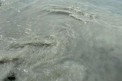 Esenköy’de dereye bırakılan beton santrali atıkları denize dökülüyor! Esenköy’de deniz beton rengine döndü