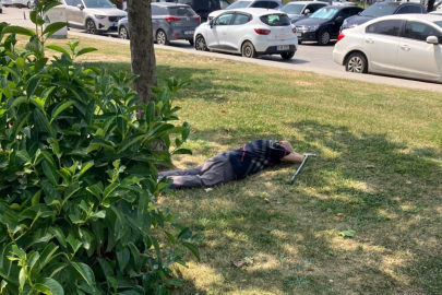Vatandaşlar sıcaktan ne yapacağını şaşırdı! Yeşil alanlarda uyuma dönemi başladı