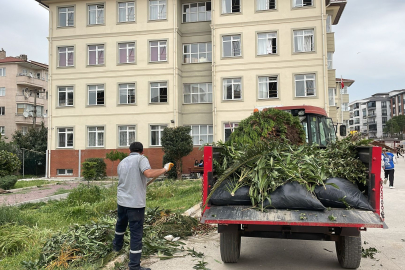 Çiftlikköy Belediyesi atık toplama günlerini duyurdu, uymayanlara ceza!