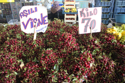 Ekşi severlerin vitamin deposu ‘Vişne’ tezgaha çıktı