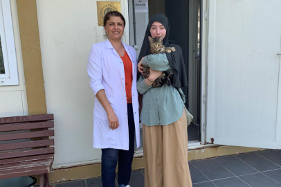 Çınarcık’ta sokak hayvanları sahiplendiriliyor