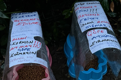 Soğuk ve yağışlı havalarda can dostlarımızı unutmayalım!