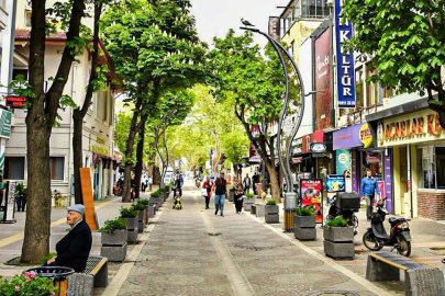 Yalova en zeki şehirler arasında kaçıncı sırada?