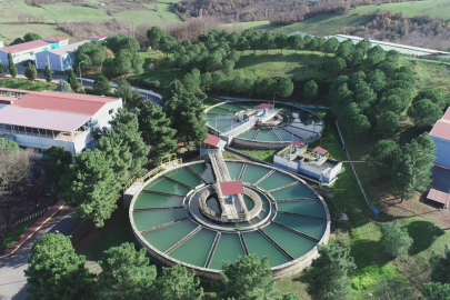 Avukat Elif Tutuk: Müvekkillerimin masumiteyi en kısa sürede anlaşılacak