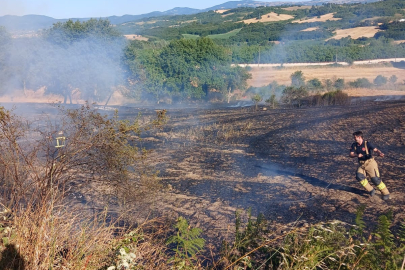 Altınova’da aynı bölgede 1 haftada ikinci yangın