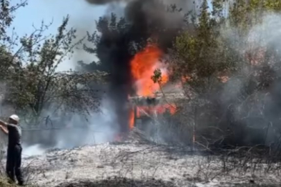 Yalova’da anız yangını kömürlüğe sıçradı