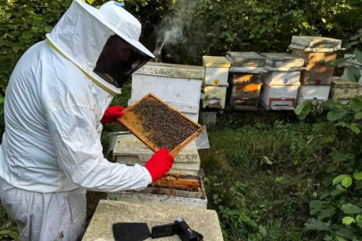 Termalli çiftçilere hibe müjdesi