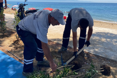Yılandar Sahilinde çevre düzenlemesi başladı