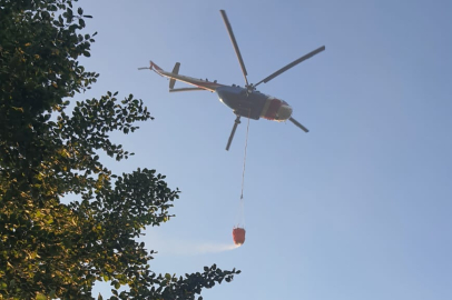 Sugören Köyünde Orman Yangını: 96 Kişilik Ekiple Müdahale Edildi