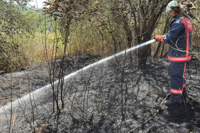 Hava sıcaklığı arttı, yangınlar peş peşe geldi