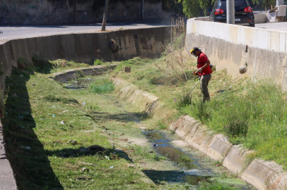 Balaban Deresi çevresinde yabani ot temizliği
