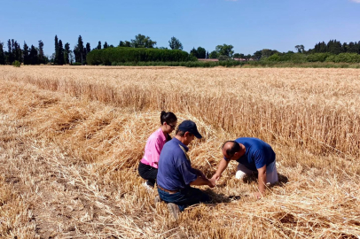 Dane kaybının önlenmesine yönelik çalışmalar sürüyor