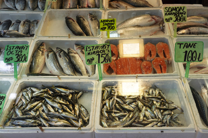 İşte Yalova Balık Pazarı’nda fiyatlar
