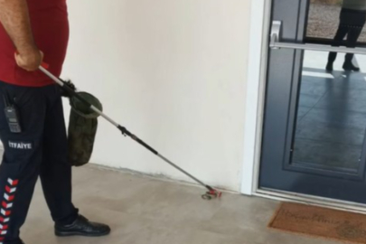 Yalova OSB'de yılan paniği! İtfaiye ekipleri yakaladı