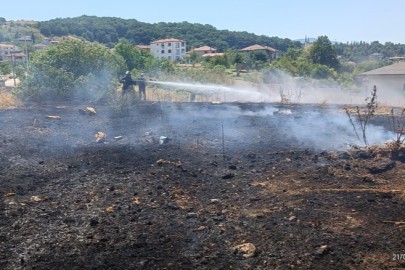 Safran Köyü'nde arazi yangını paniği