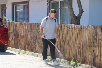 Yabani otlar ilaçlanarak kurutuluyor