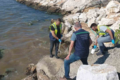 Bakanlıktan Yalova Belediyesi’ne 1.3 milyon liralık atık cezası