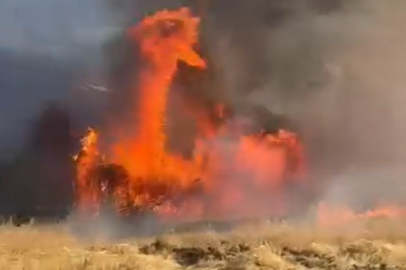 Çiftlikköy'de tarla yangını! Yüzlerce saman balyası kül oldu