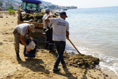 Armutlu Sahillerinde temizlik seferberliği devam ediyor