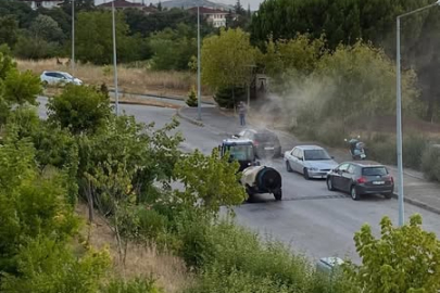 Subaşı Beldesinde yoğun ilaçlama çalışması