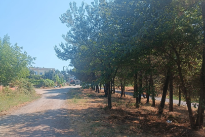 Subaşı Okulu’nun çevresi pırıl pırıl oldu