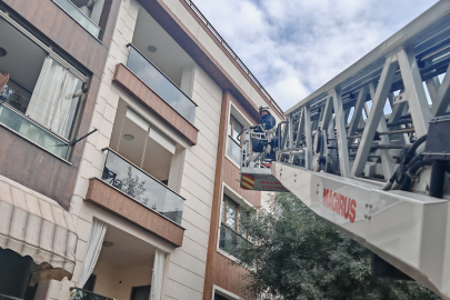 Yalova’da nefes kesen kuş kurtarma operasyonu