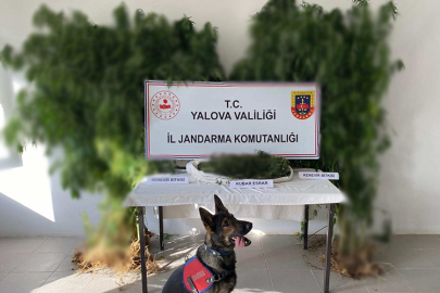 Termal’de uyuşturucu operasyonu! 1 tutuklama