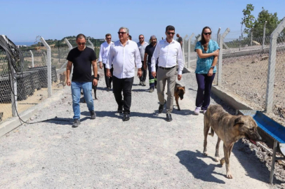 Gürel hayvan barınağını inceledi
