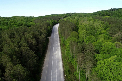 Av sezonu başlasa da ormanlara giriş yasağı devam ediyor