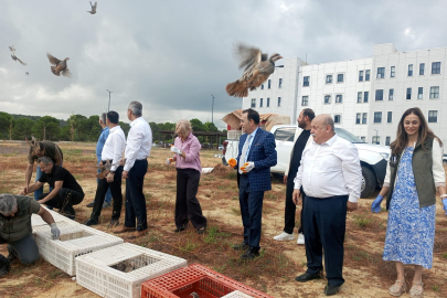 Keklikler kampüste doğaya salındı