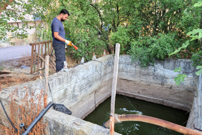 Çiftlikköy’de ilaçlama seferberliği