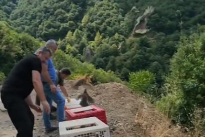 Esenköy’de 100 kınalı keklik doğaya bırakıldı