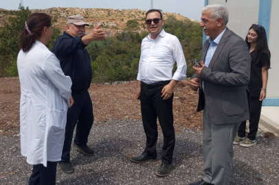 Doğaya Dost, geleceğe miras: Çınarcık Belediyesi’nden örnek proje