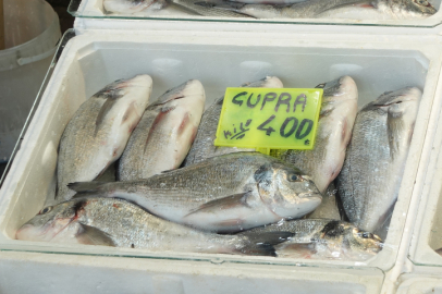 İşte, Yalova’da Balık fiyatları