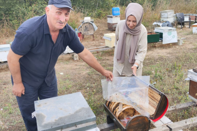 Yalova balının kalitesine sıkı takip! Numune çalışması yapıldı