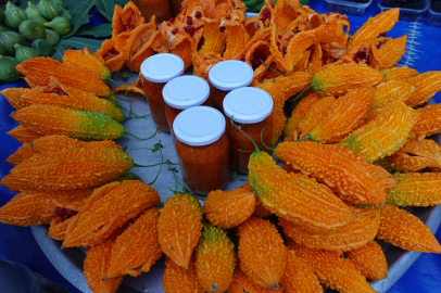 Yalova Semt Pazarı’nda Kudret Narı 30 TL’den satılıyor