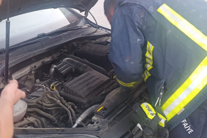 Aracın motoruna sıkışan kediyi itfaiye ekipleri kurtardı