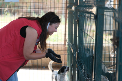 Damla Projesi gönüllüleri Çiftlikköy Belediyesi’nde
