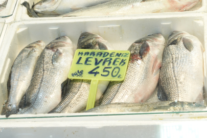 İşte, Yalova’da balık fiyatları