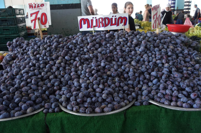 Yalova Semt Pazarı’nda Mürdüm Eriği 70 TL'den tezgahlarda