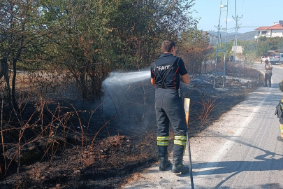 Altınova’da iki ayrı noktada yangın çıktı