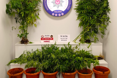 Yalova’da dev uyuşturucu operasyonu! 9 tutuklama