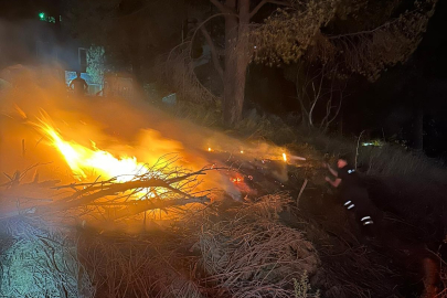 Altınova’da otluk alan yangına itfaiye ekipleri müdahale etti