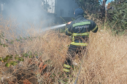 Altınova’da otluk yangını paniği! İtfaiye ekipleri söndürdü