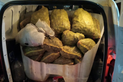 Armutlu’da 500 kilo midye ele geçirildi