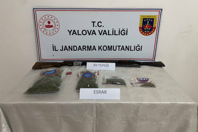 Çınarcık’ta uyuşturucu operasyonu! Ormanlık alanda zehir yetiştiriyordu