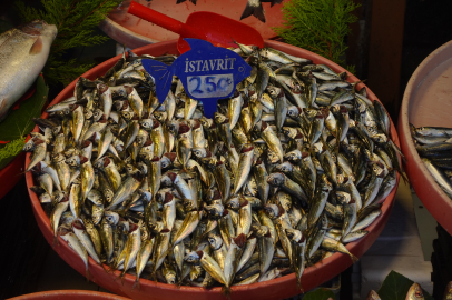 Av yasağı sona erdi! İşte, Yalova Balık Pazarı’nda fiyatlar