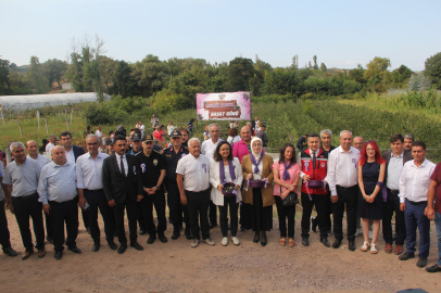 Aronya Hasat Günü gerçekleştirildi